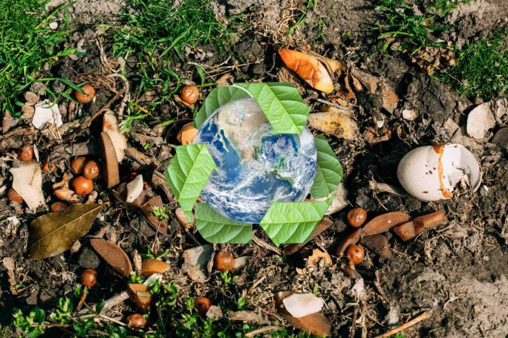 Biodegradable packaging_ what works and what doesn’t