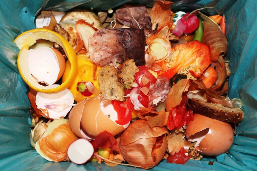 Food waste_ causes, impact, and solutions